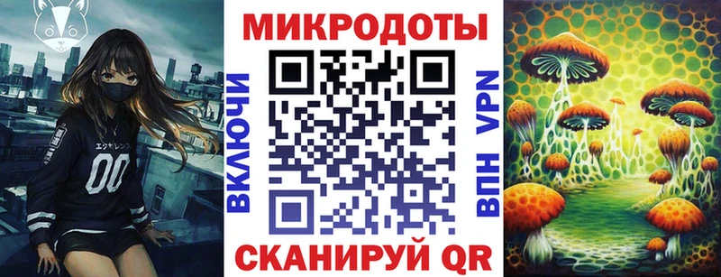 Галлюциногенные грибы Psilocybine cubensis  hydra ТОР  Петровск 